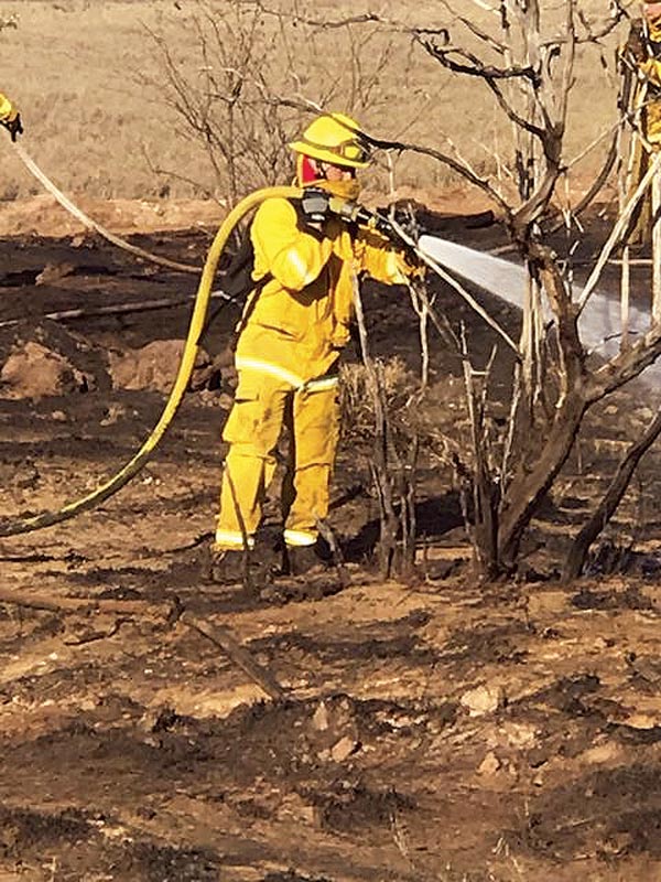 Juvenile arrested for arson in brush fire | News, Sports, Jobs - Maui News
